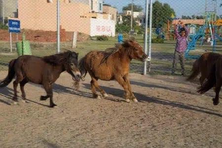 10 Marla Possession Paid Plot for Sale in Jade Block – Park View City Lahore